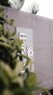 "Grisha's Big 1: A tiny heart, a world of wonder!"
#eventplanner #1stbirthdaycake #cake #viralreels #explorepage #decor #reels #explore #reelsinstagram #viralvideos 
#babygirl